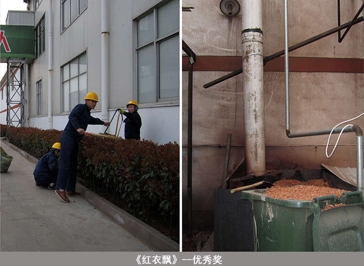 bevictor伟德-bv伟德国际体育官方网站
