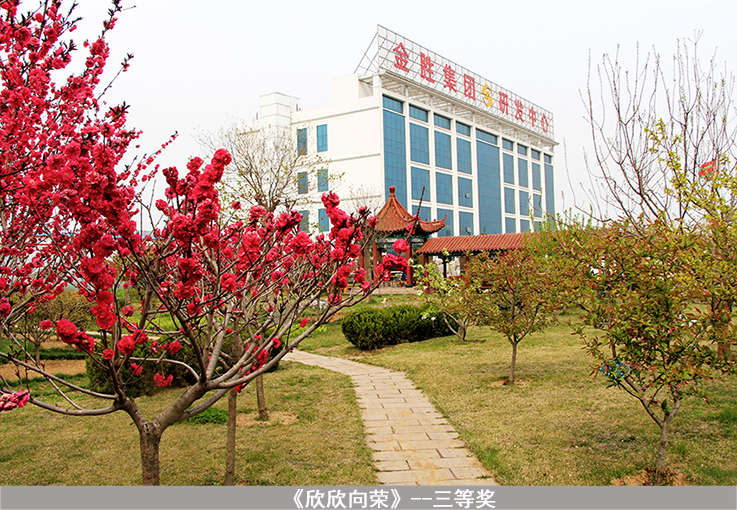 bevictor伟德-bv伟德国际体育官方网站