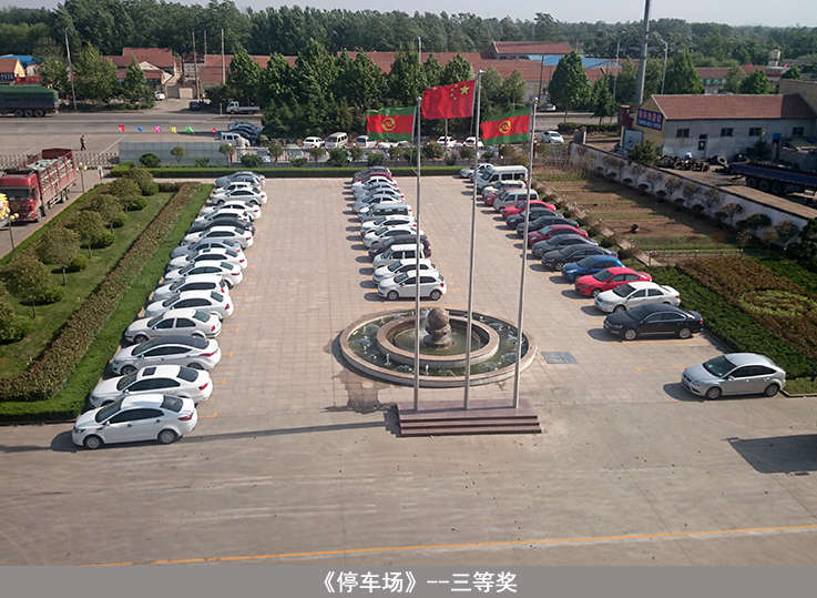 bevictor伟德-bv伟德国际体育官方网站
