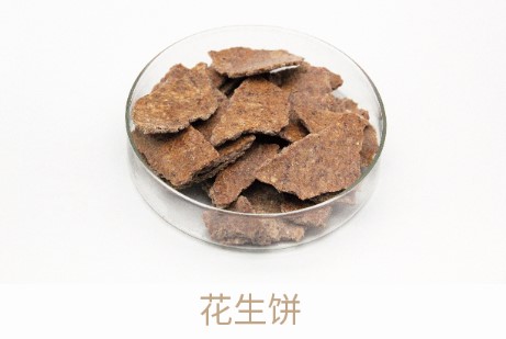 bevictor伟德-bv伟德国际体育官方网站