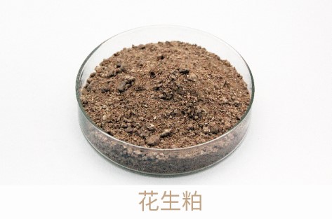 bevictor伟德-bv伟德国际体育官方网站